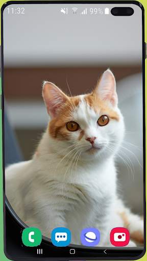 Cute Kitten  Wallpaper HD screenshot 1