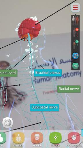 Human Anatomy AR screenshot 6