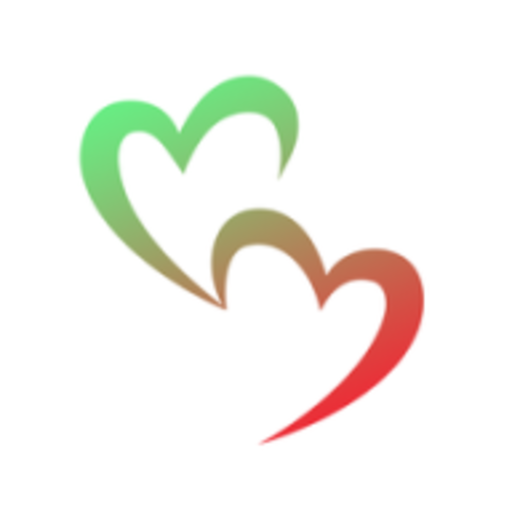 SD FEVER icon