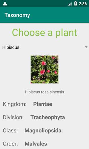 Taxonomy screenshot 2