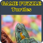 Game Puzzle Turtles icon