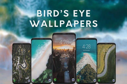 Birds Eye Wallpapers HD screenshot 1