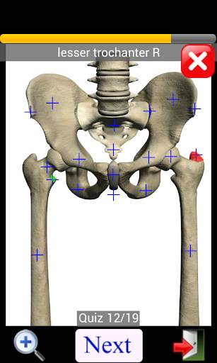 Anatomy Quiz скриншот 6