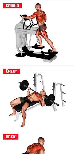 Gym Workout Training Diet Plan screenshot 3