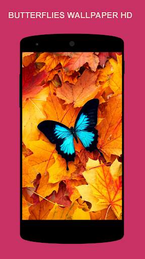 Schmetterling Wallpaper screenshot 5