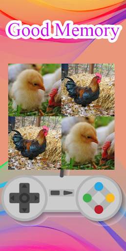Hen matching game screenshot 2