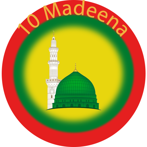 10 Madeena VPN icon