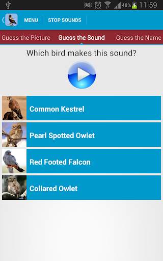Birds of Prey Sounds Free screenshot 6