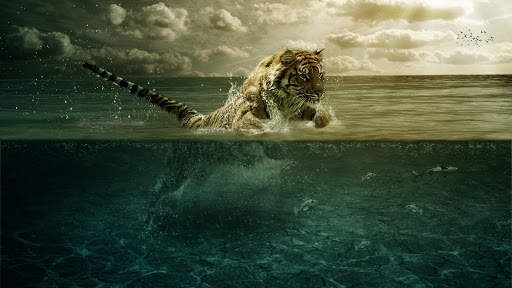 Tigre Live Wallpaper screenshot 13