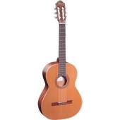 Best Pro Acoustic Guitar Tuner  - Free 1.0