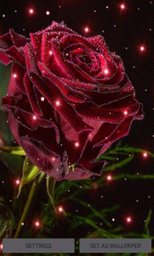 Magical Rose Live Wallpaper screenshot 1