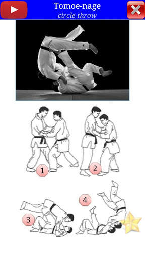 Judo in brief screenshot 6