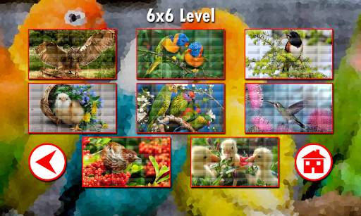 Birds Puzzles screenshot 7