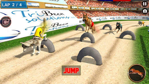 Real Dog Racing Tournament screenshot 12