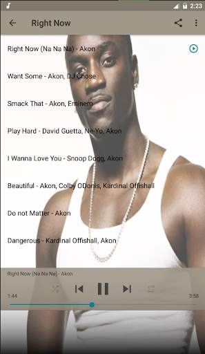 Akon Top Music Free screenshot 1