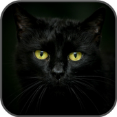 Find the cat icon