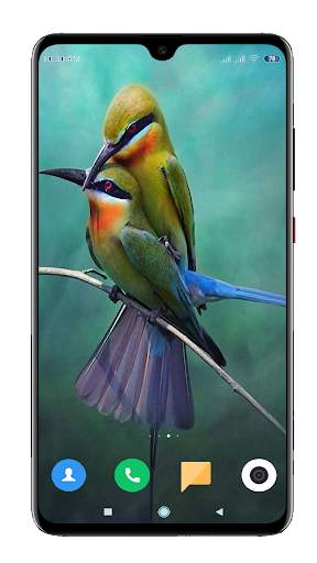 Bird Wallpaper 4K screenshot 3