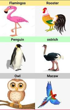 Animals Voice скриншот 4