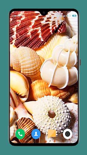 HD Seashell Wallpaper screenshot 14