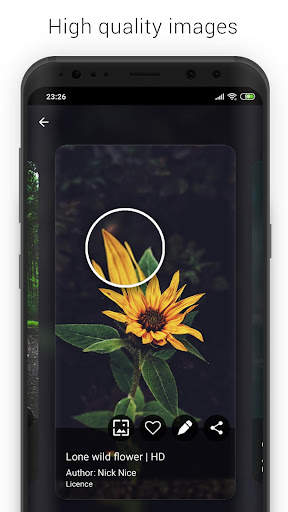 Alpha wallpapers HD 3 تصوير الشاشة