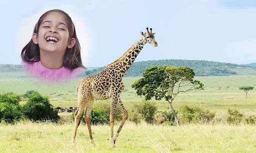 Wild Animal Photo Frames HD screenshot 5