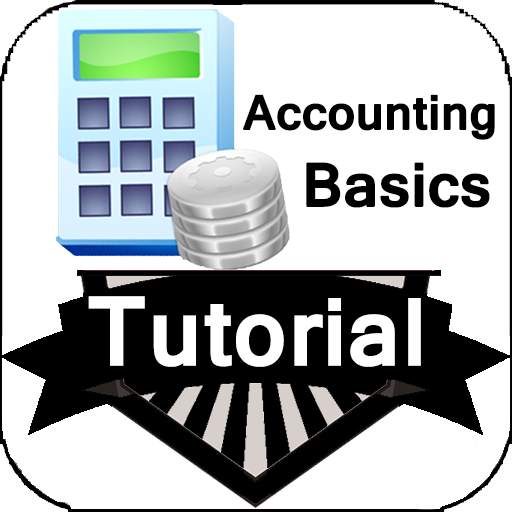 Accounting Basics 1.3