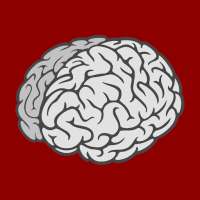 Daily Anatomy logo