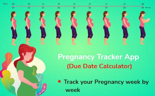 Pregnancy Tracker App (Due Date Calculator) screenshot 1