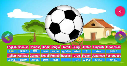 Learning Animals Fruits Vegetables Birds Meaning screenshot 4