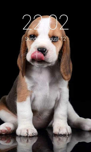 Puppy Dog Pattern Lock Screen Cute Puppy Pin Lock screenshot 9
