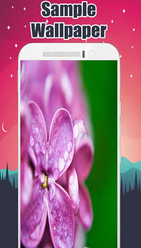 Lilac Wallpaper screenshot 3