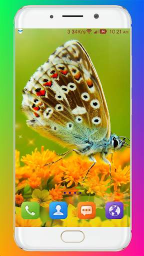 Butterfly Wallpaper HD screenshot 7