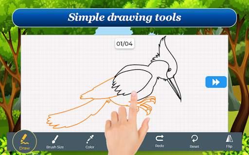 How to Draw Birds Step by Step स्क्रीनशॉट 6