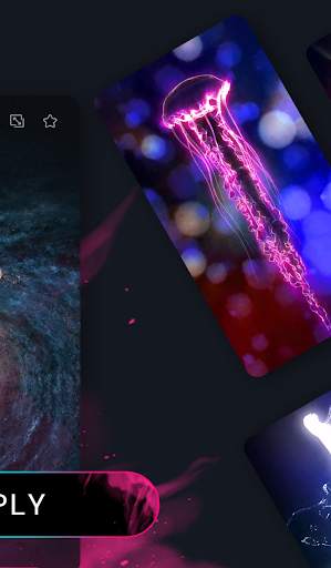 Fantasy Color Call screenshot 2