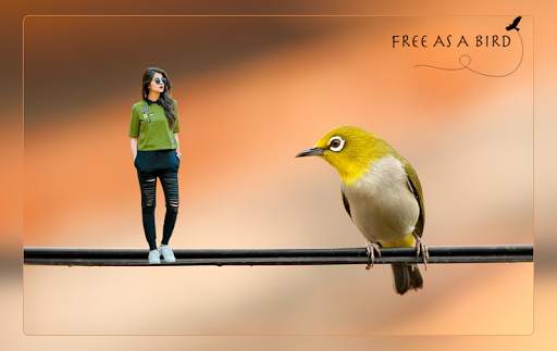 Wild Animal Photo Maker : Animals Photo Editor screenshot 1