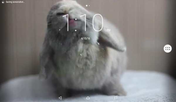 Bunny Licks Screen Wallpaper screenshot 4