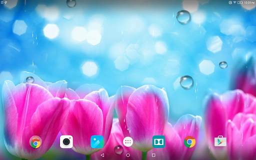 Spring Flower Live Wallpaper screenshot 10