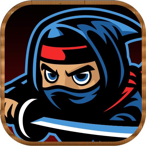 Ninja One 1