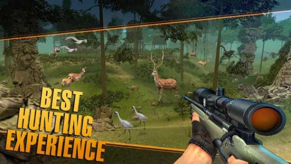 Rusa berburu sniper safari - binatang berburu  I screenshot 5