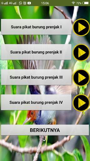 Suara pikat burung prenjak screenshot 2