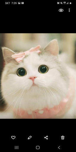 Download Photos and Videos from Instagram screenshot 5
