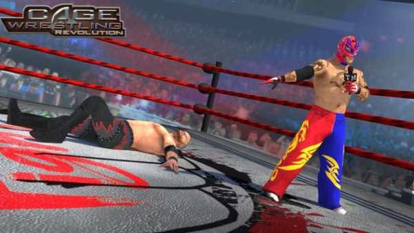 Wrestling Cage Revolution screenshot 4