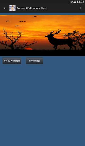 Animal Wallpapers App 🐈🐅🐎 : Animal Background screenshot 16