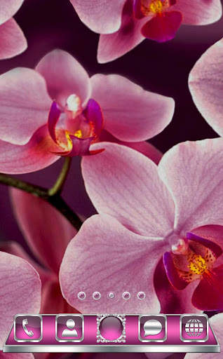 Orchids Go Launcher  theme screenshot 2