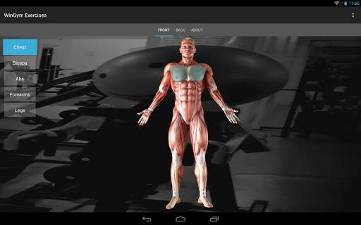 WinGym Exercises screenshot 12