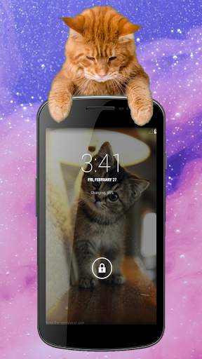 Cute Cat Wallpapers screenshot 1