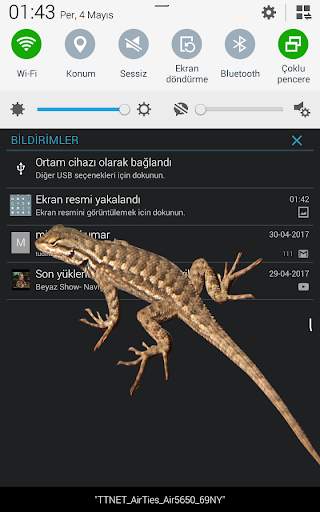 Lizard in phone funny walks screenshot 7