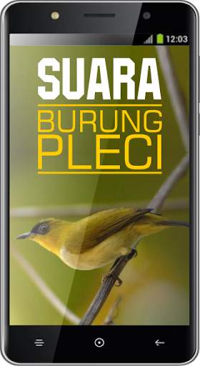 Suara Burung Pleci screenshot 3