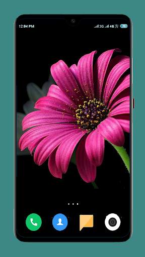 Flowers Wallpaper 4K 4 تصوير الشاشة