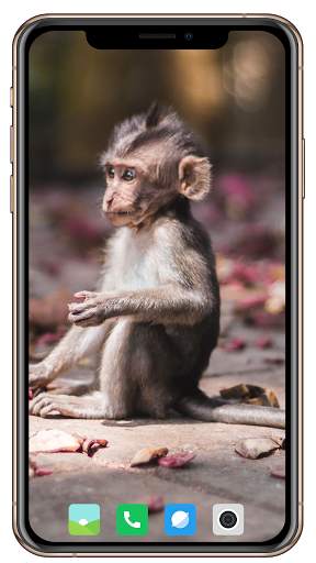 Monkey Wallpaper screenshot 3